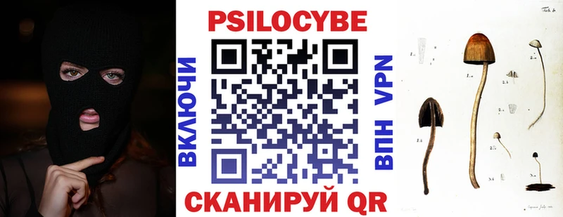 Купить где  Дятьково  Псилоцибиновые грибы Psilocybine cubensis 