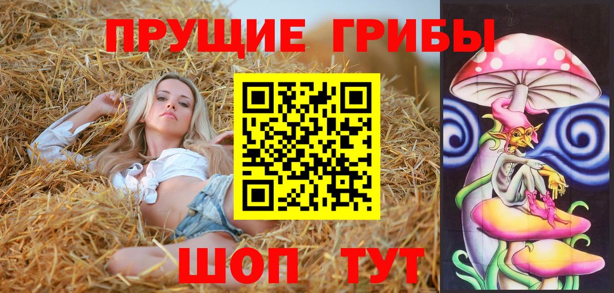 Галлюциногенные грибы Psilocybe  Дятьково 