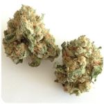 Шишки "White Widow"  (Белая вдова)  Гидропоника -  Бошка VHQ в Дятьково